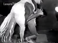 [ Bestiality Porn Video ] Horny wench screwed by a large horse
